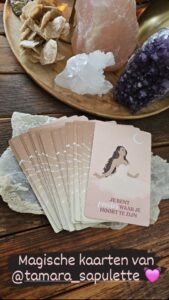 Soul Alignment Kaartendeck | Ikbentamara.nl | Webshop voor Lichtwerkers